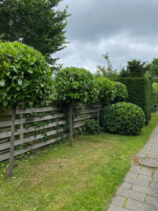 Anlægsgartner Lyngby