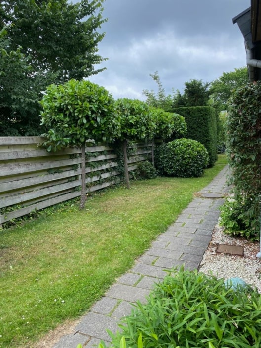 Anlægsgartner i Lyngby