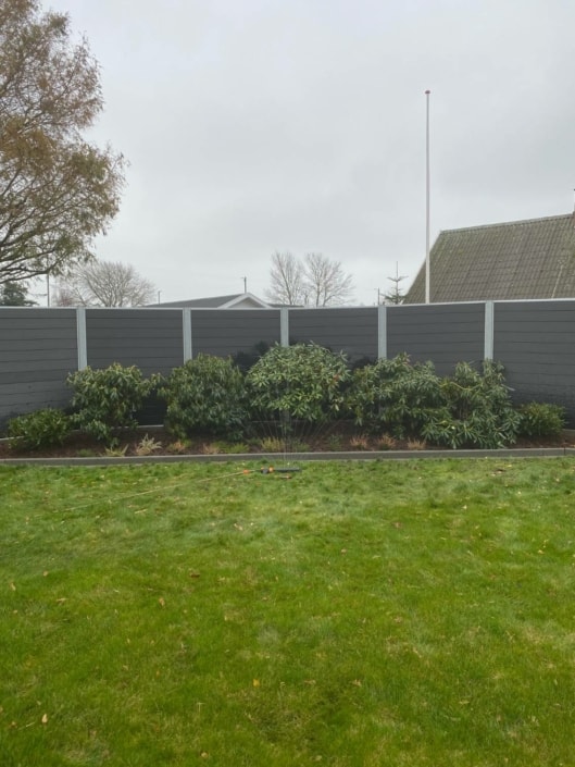 græsplæne med busk